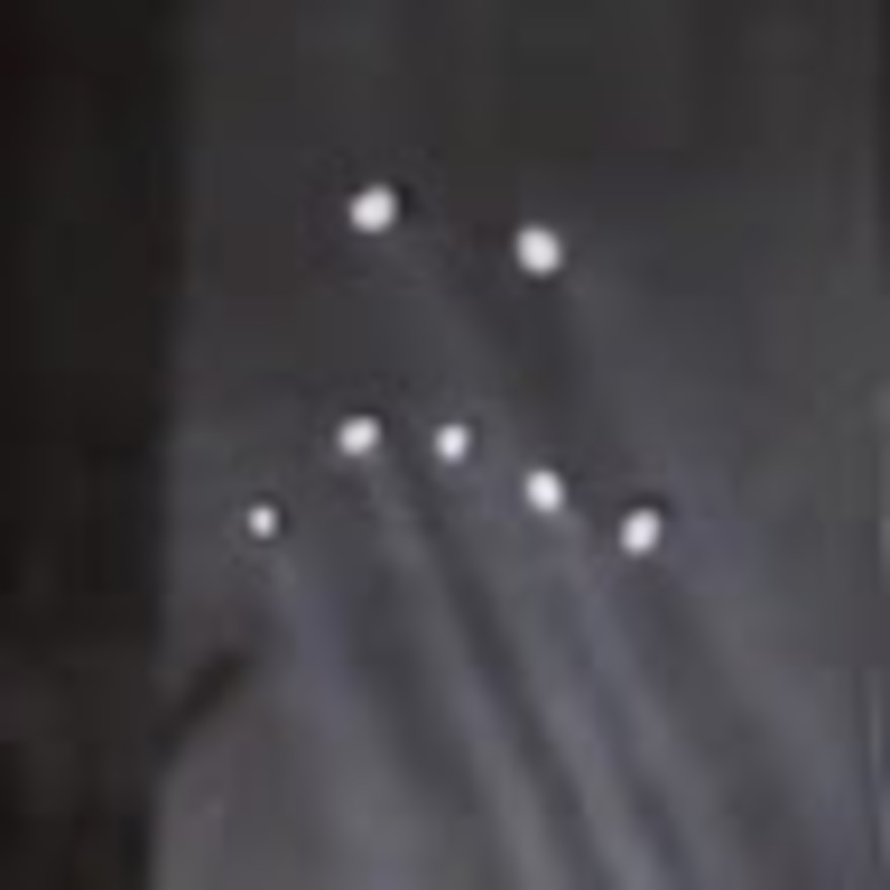 Meet your Posher, Shayleigh